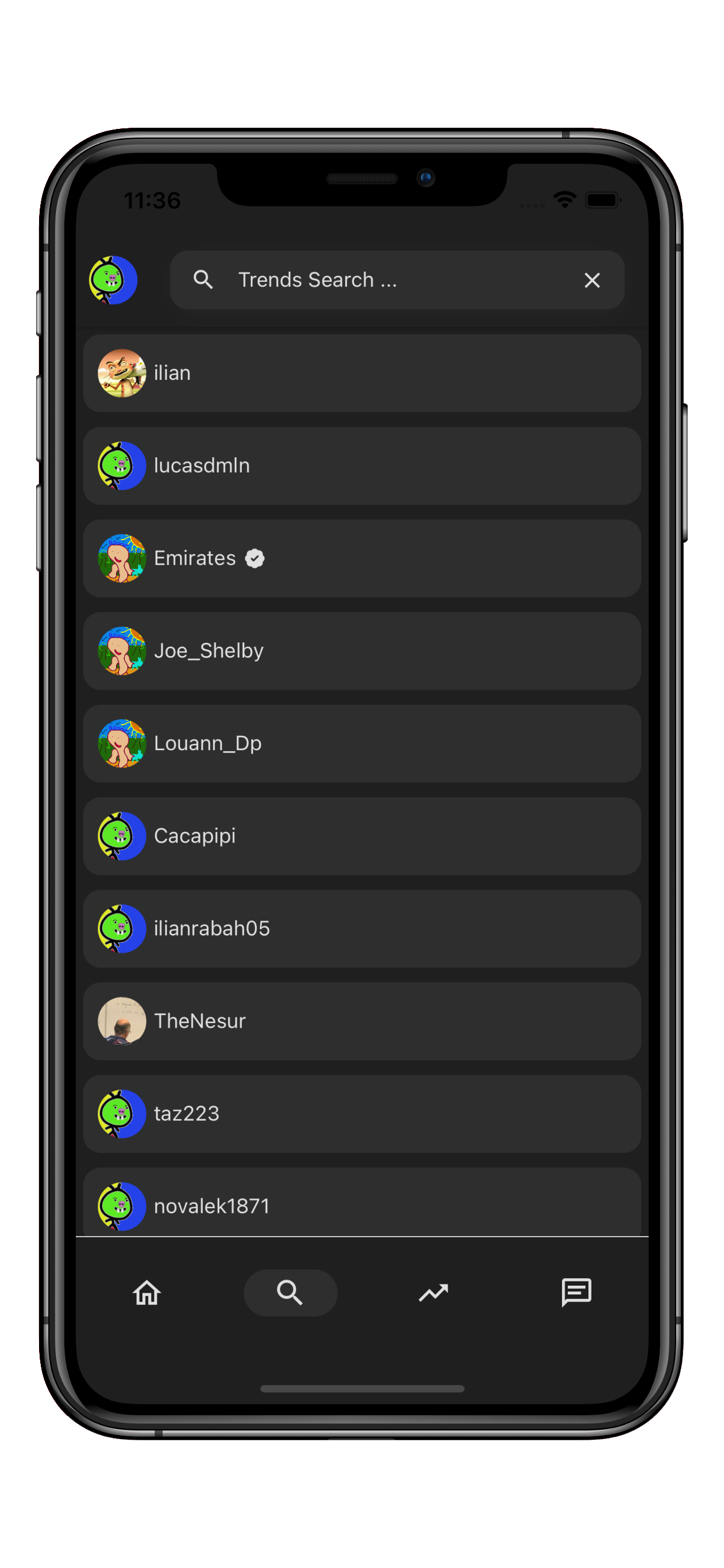 search image presentation